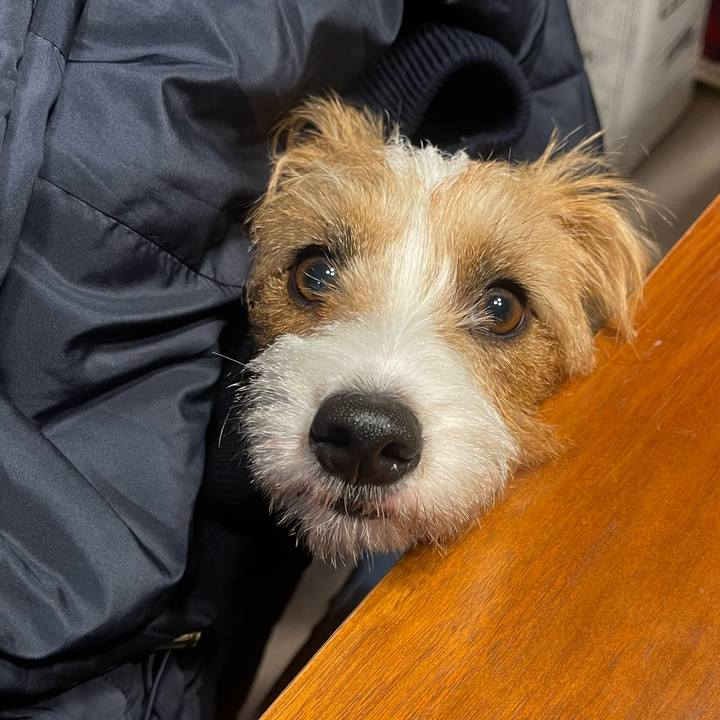 Dbd5e28b 6eab 4c1f 819b 05d04ead22a8 1765630535216