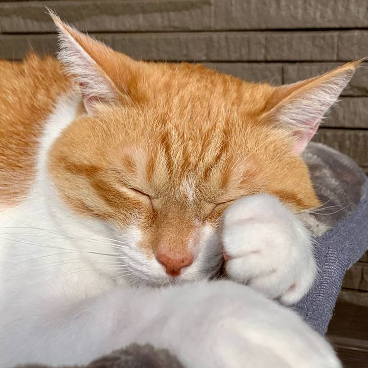 Dbd5eb40 0a30 4f02 a043 400b2defa4ec 1680045502866