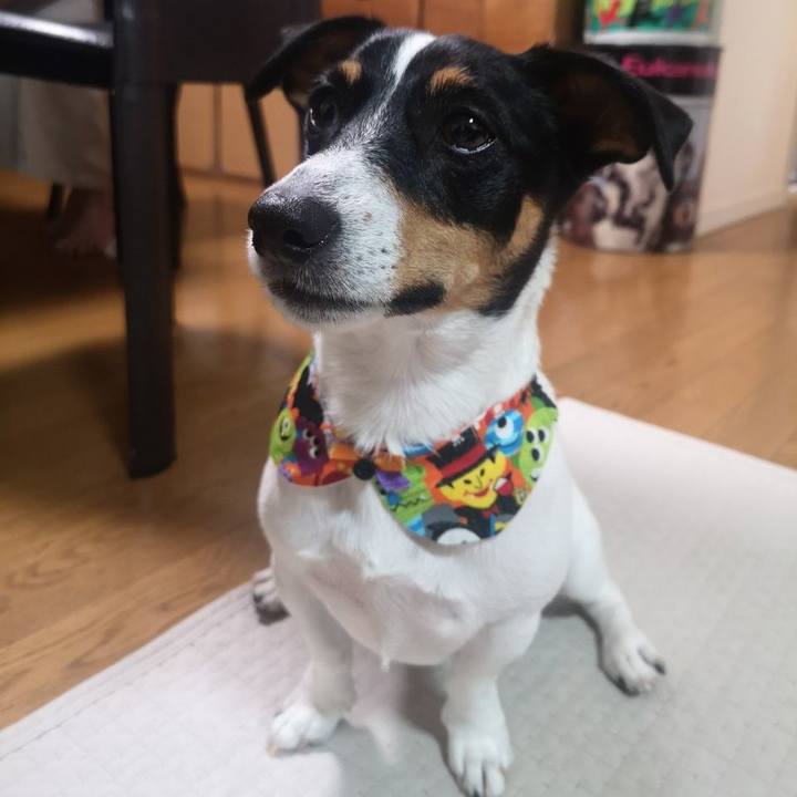 Dbd5fdaa 8217 4573 baaa f9e294abe56f 1633915076612