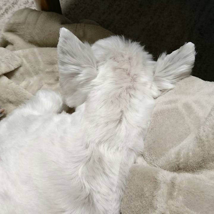 Dbd6729b a7c7 4c6c b91d 3d0f6e34ccbb 1509530070090