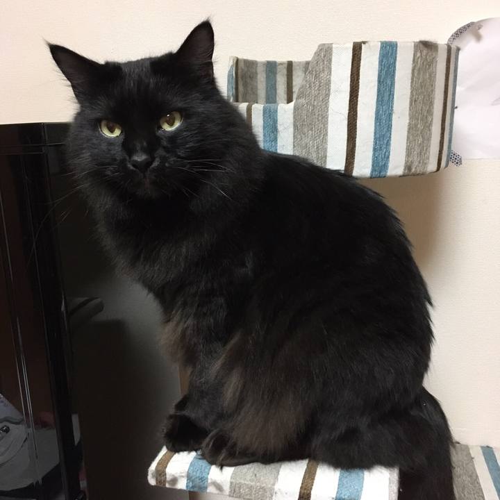 Dbd694ed 9c10 40b0 9d48 b9b65b4b7894 1512637547034