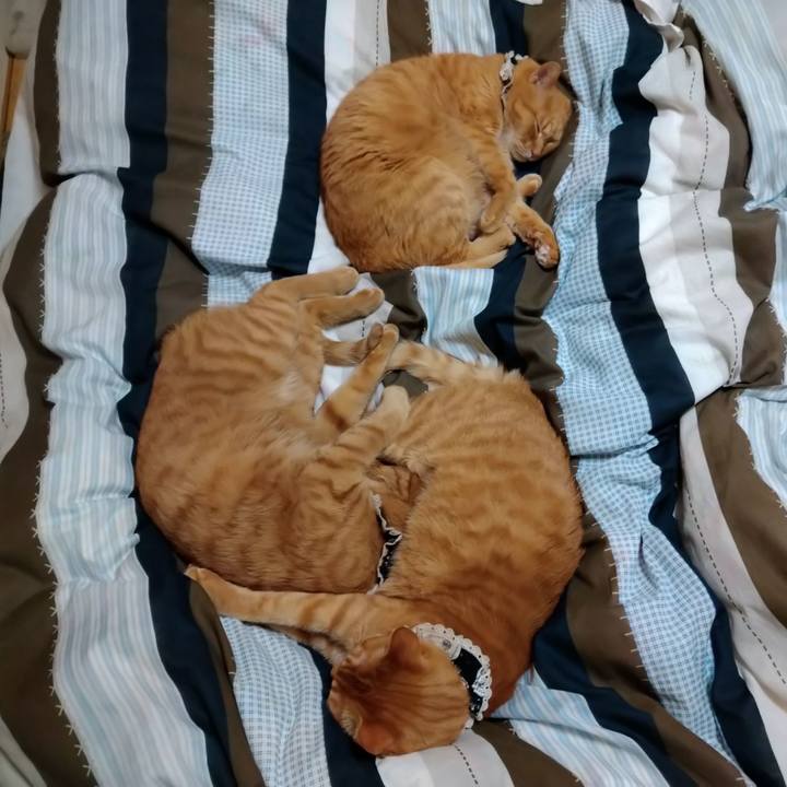 Dbd6b044 ec6c 4958 b24b e61ac06249c2 1612791693802