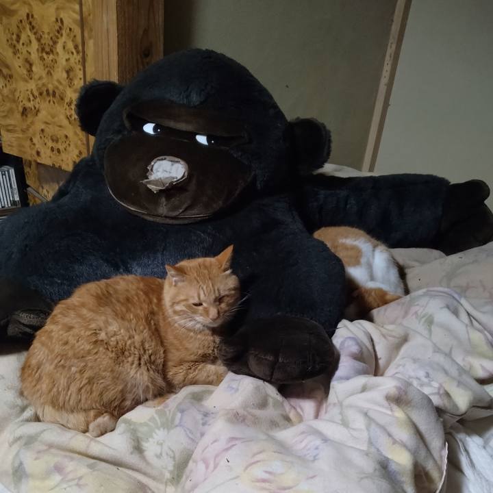 Dbd6b6ca 06d0 48c7 908e f905cac6c7fe 1764234271855