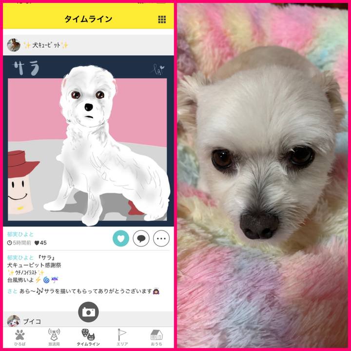 Dbd6bba6 a05f 452c 81d2 cda18a011d1d 1632653925327