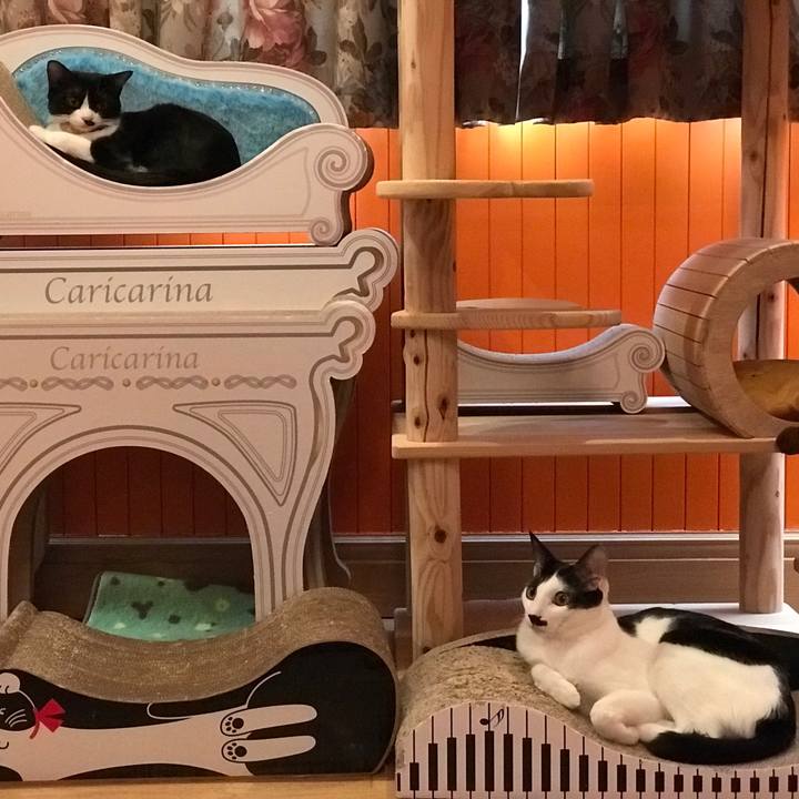 Dbd6becc 7bd0 4876 bb37 a8db09c59c26 1518143597144