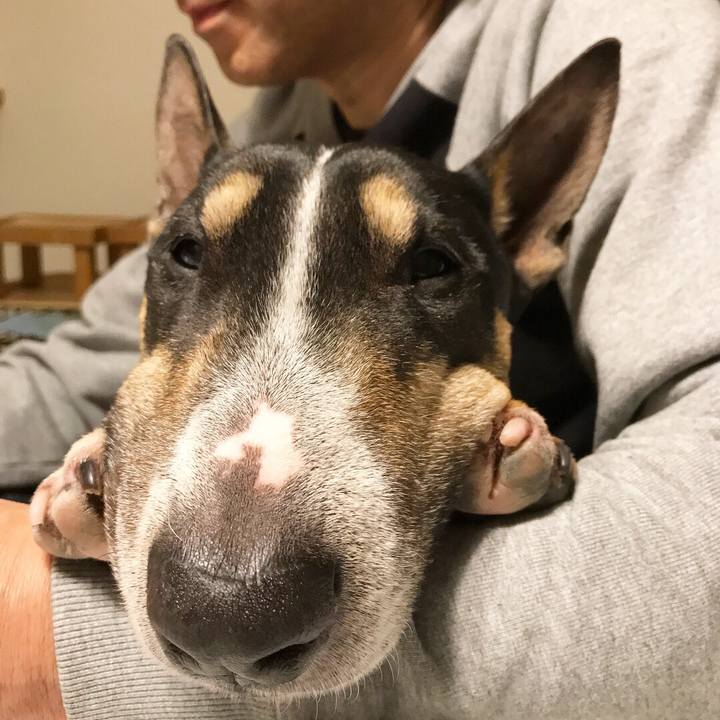 Dbd6c4f5 031a 4a21 a012 0820daa10e4c 1517049153677