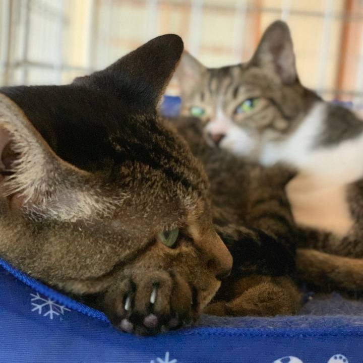 Dbd73a8a 3f01 4812 a81f 196102746d03 1569545219863