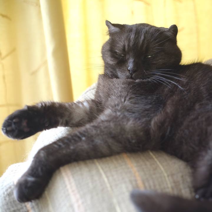 Dbd73f11 4b7c 4e59 bd94 8415cb73a520 1599147895206