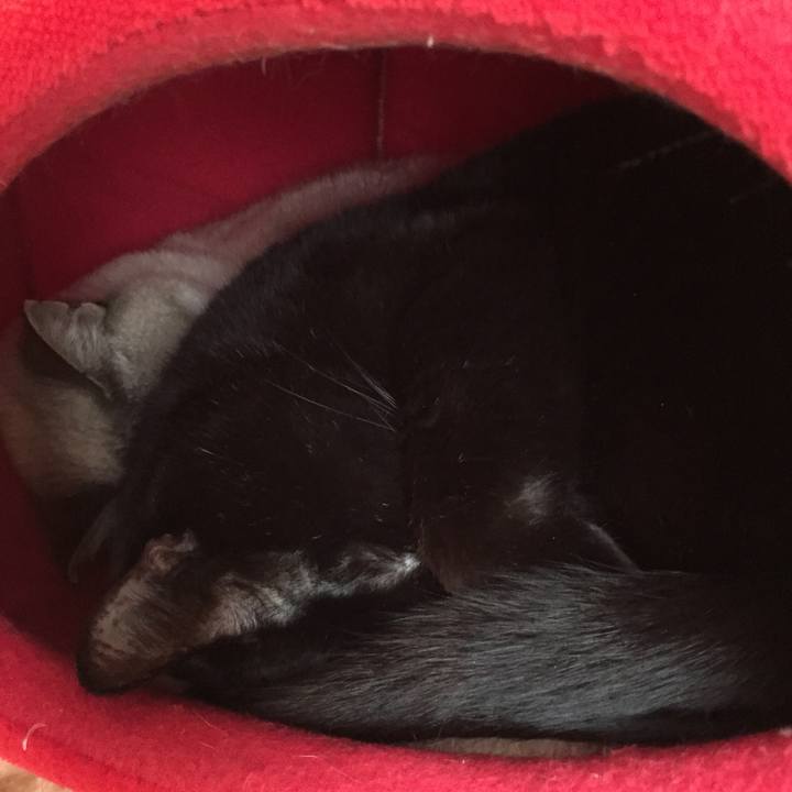 Dbd744d5 238c 423e b589 476789e31105 1517785153079