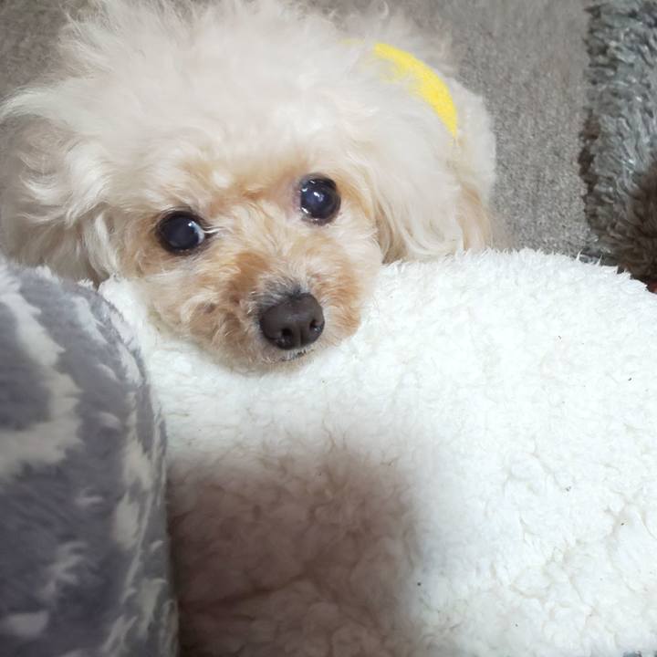 Dbd75f0c 36cf 42f6 82ed 733421078d83 1709005733824