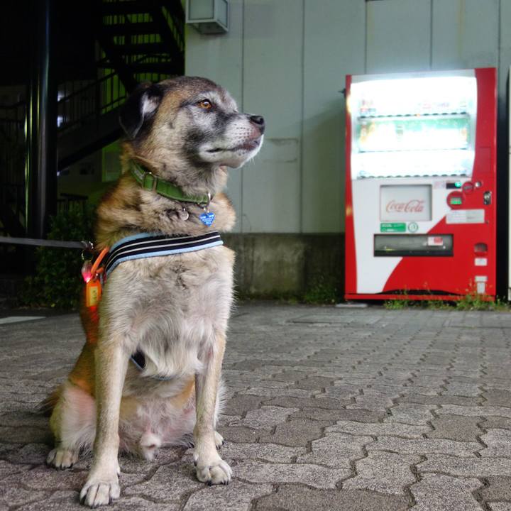 Dbd764a3 e9d5 4ea1 aca7 9ffffe00104f 1534516459658