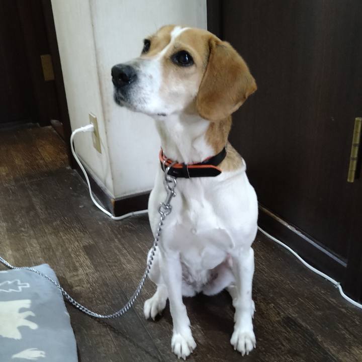 Dbd785d2 8473 4890 a2d9 52624204a7a7 1618578882003