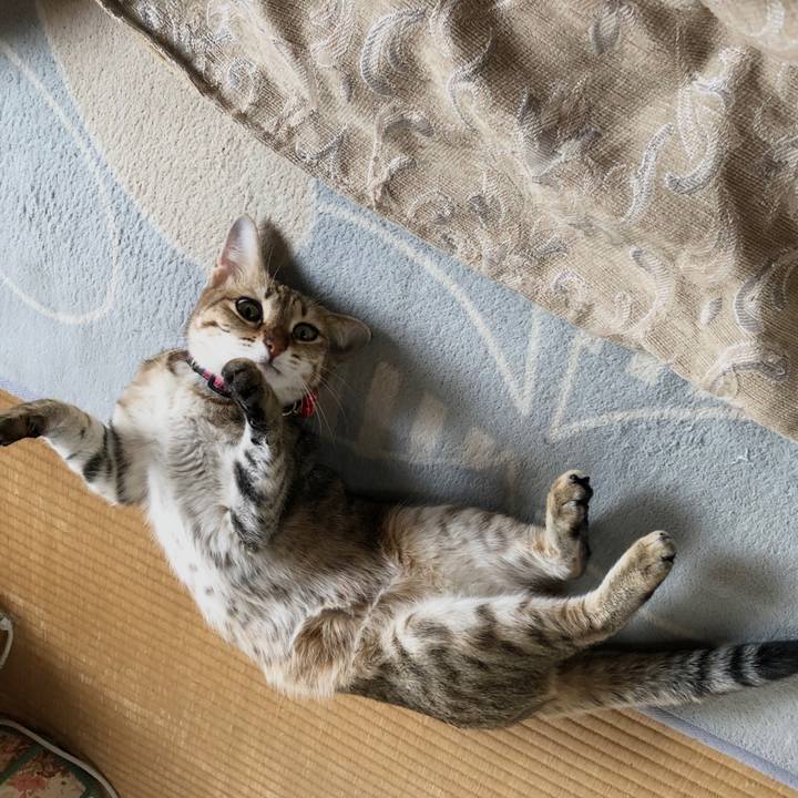 Dbd794ec 21c3 49a4 9fc9 82535afdb2eb 1609923781073