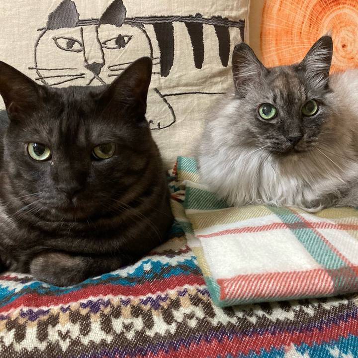 Dbd7956d 4924 4008 84ad 3d41832d59fe 1709804419823