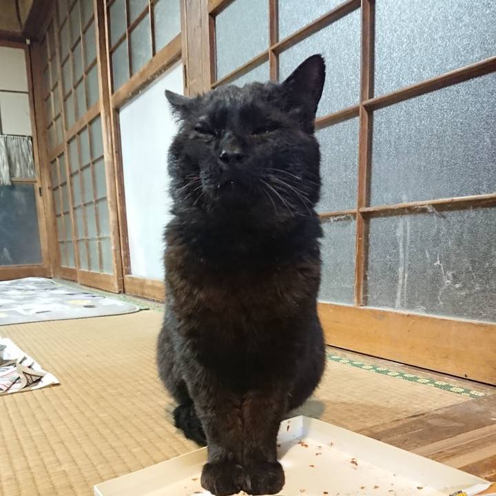 Dbd7c4d9 ad14 4533 94c1 a317dcf4e3da 1619006714415