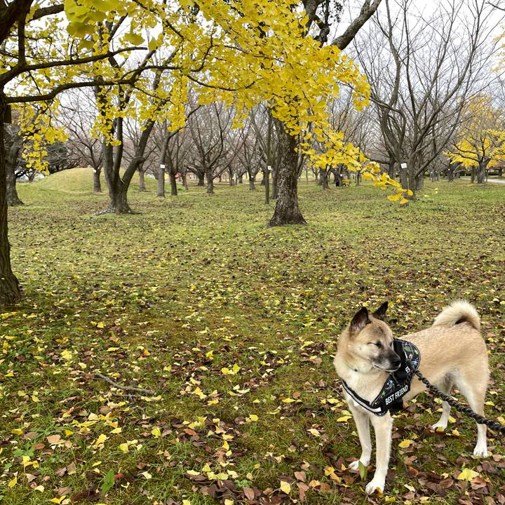 Dbd7efe6 dd95 478f 94a8 6da30a90ee52 1733035957742