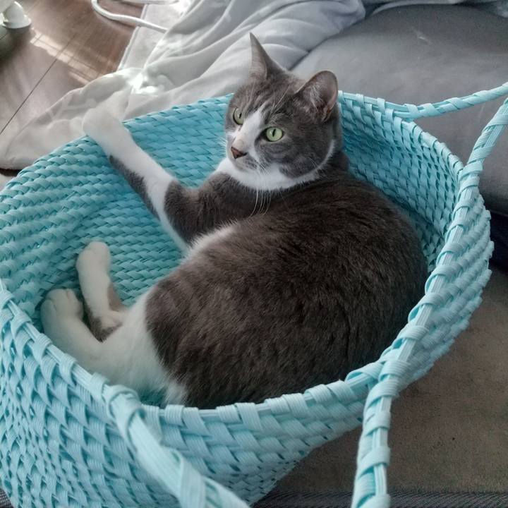 Dbd82b0f 7a48 400a 93fd dc60158040f1 1649480292710