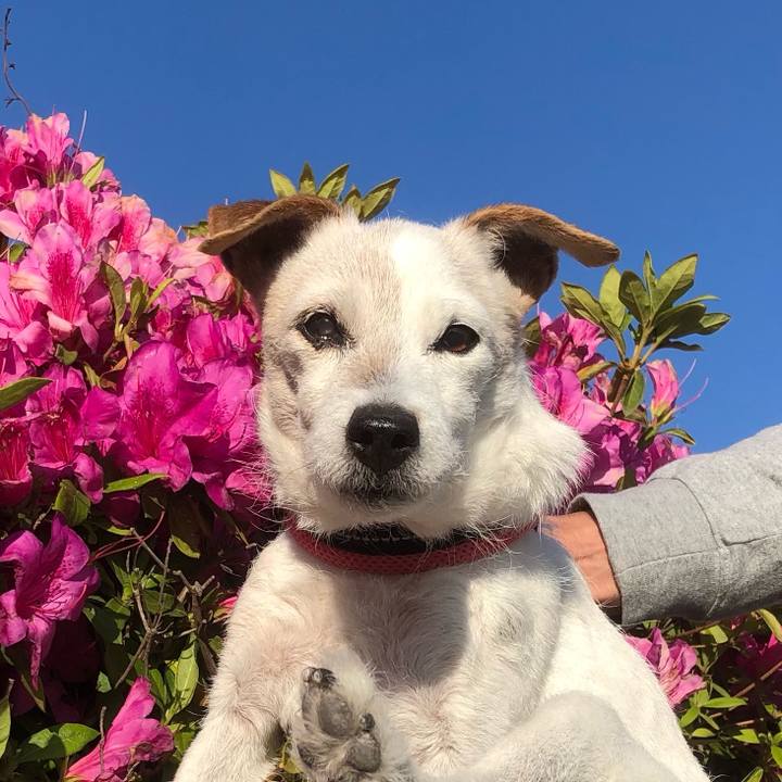 Dbd89ce7 5a4c 436a 9cd5 1d275c21983b 1619444912003