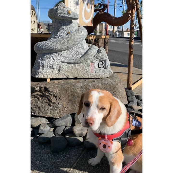 Dbd89e14 d3c6 47d5 8d8d 53dfc0afa43a 1735789210971