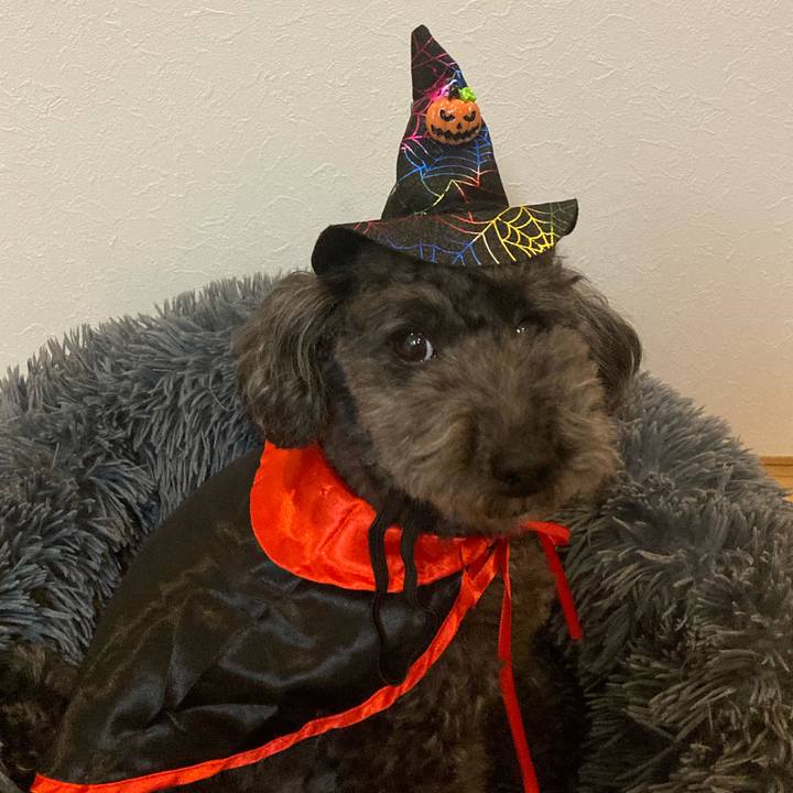 Dbd8b67d 635d 4196 8c6f 9110d116bca4 1698845798509