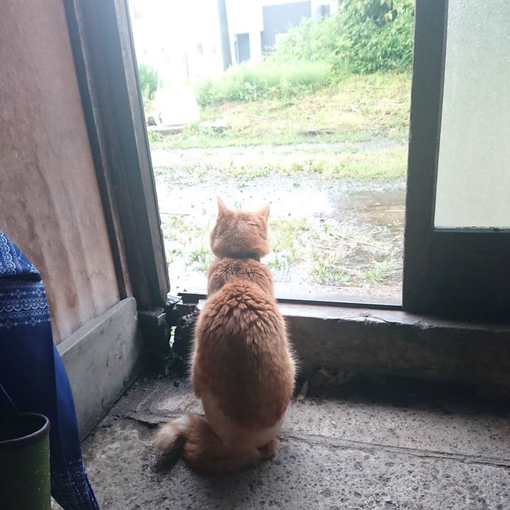 Dbd8f8e5 9c61 4b6b b6d4 aa16d602f767 1654548794770