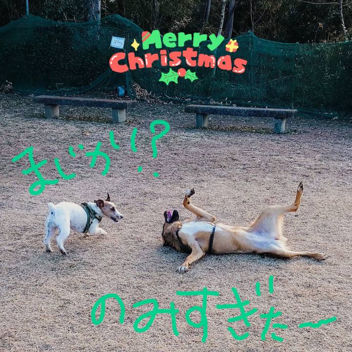 Dbd93635 62d4 4991 ad73 8fc027de8efe 1703416192480