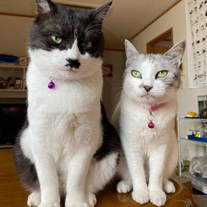 Dbd9590c 6676 41ff 96a4 d8d47ff7f750 1597892684038