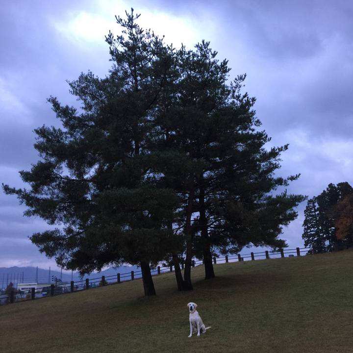 Dbd962b4 4f5f 4db2 a5cc 200c79336141 1543188009836