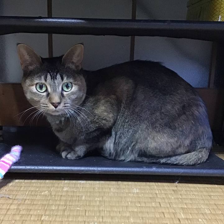 Dbd971f1 0b03 48b2 814c c5ccad64751a 1645950705250