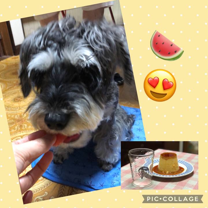 Dbd9ac41 b14c 49d6 9ce0 b72d79924411 1658667787696