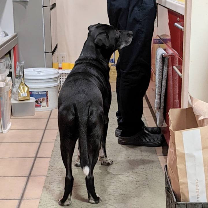 Dbd9c264 7708 491d 8523 e9856a1f9e29 1673261608736