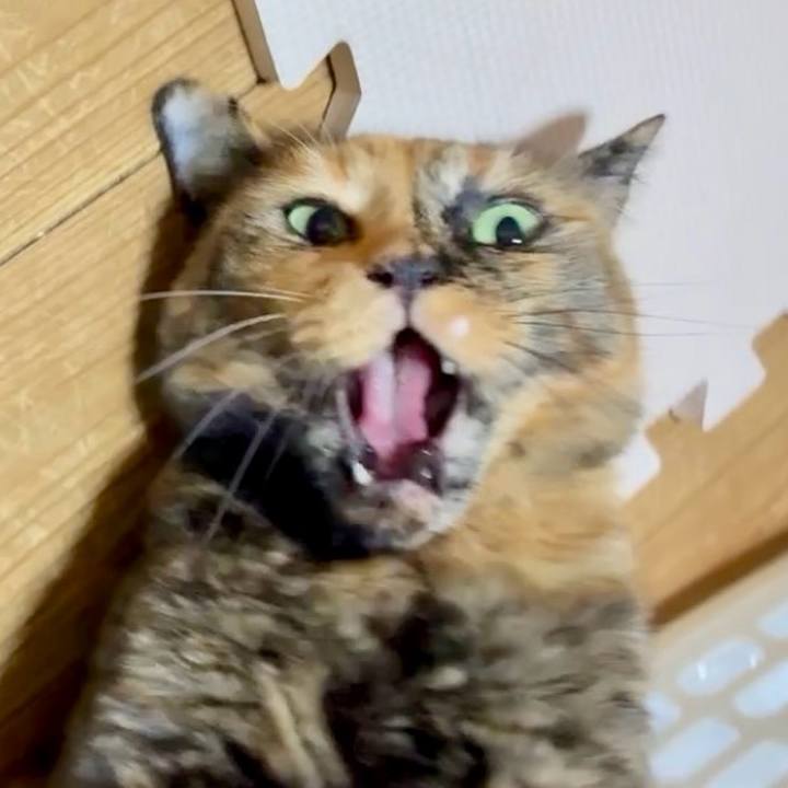 Dbd9dfb8 e172 4f72 99bb e3e42f353106 1757449110057