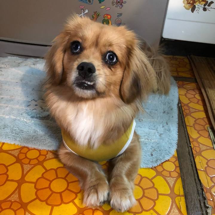 Dbd9e6ce 3670 4345 bde7 111cc3a1a542 1521753906325