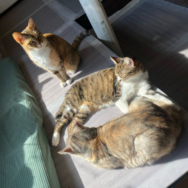 Dbd9e8e7 c5ef 4d41 869f ec1ec1306267 1613016933921