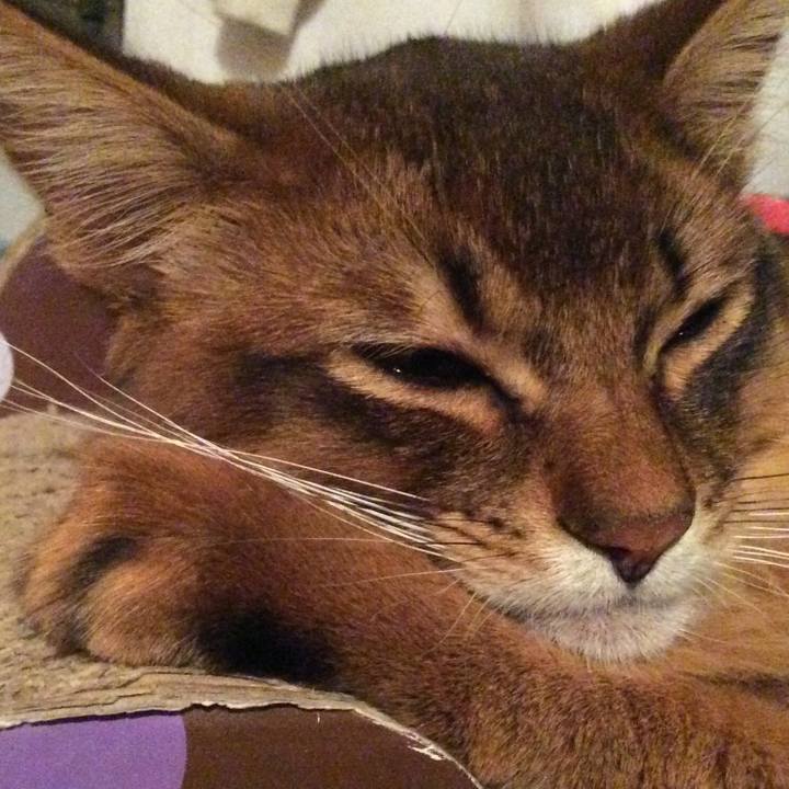 Dbd9ffbe 4504 441a bb67 31df8e183541 1581435865257