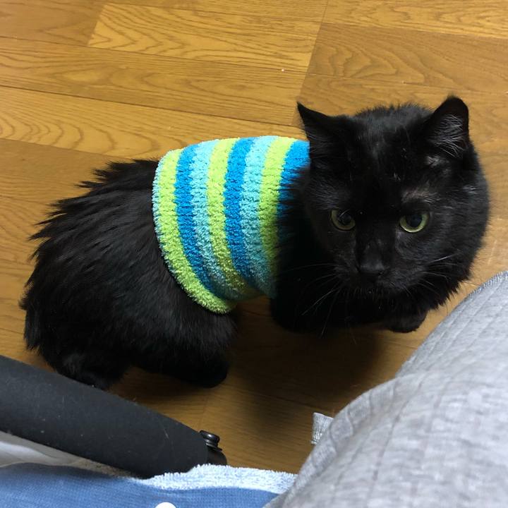 Dbda1ff0 09f6 4b6f b73b b9cd38f932fc 1582892707192