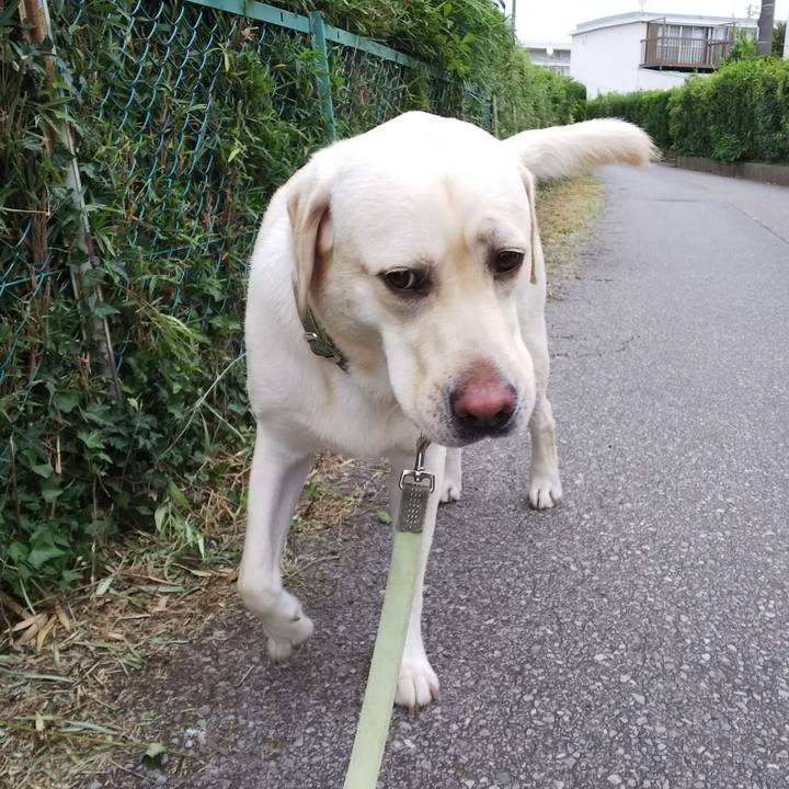 Dbda2a54 d475 4077 8f40 ebf72c04903c 1532568267395