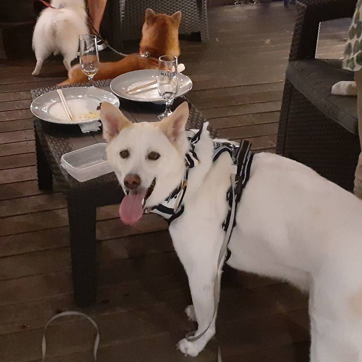 Dbda2b94 0faa 4d10 aa58 60ecde387891 1691799530122