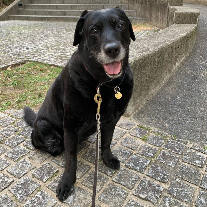 Dbda3118 d534 4158 aec1 b775eeb9f3e5 1580517913995