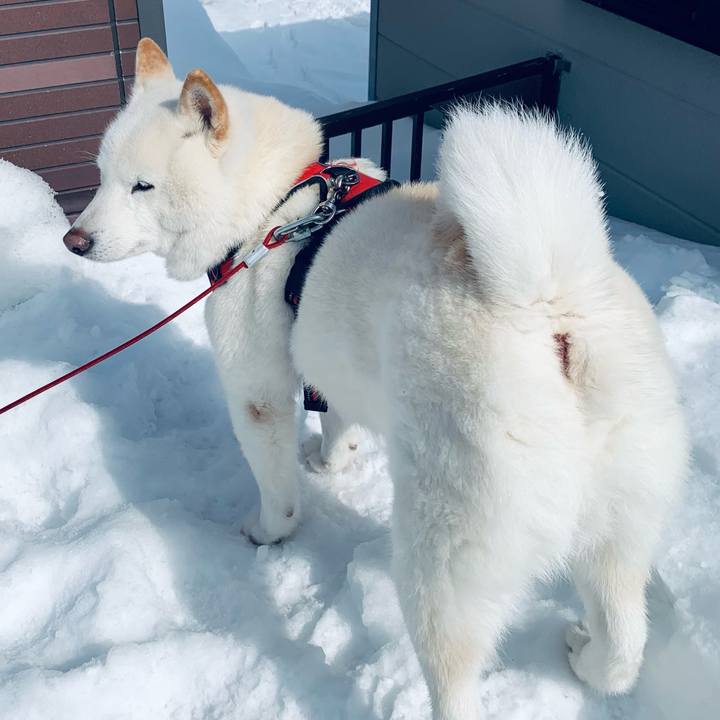 Dbda50f1 9460 46ca bfdb 645b765fb36d 1615169628719