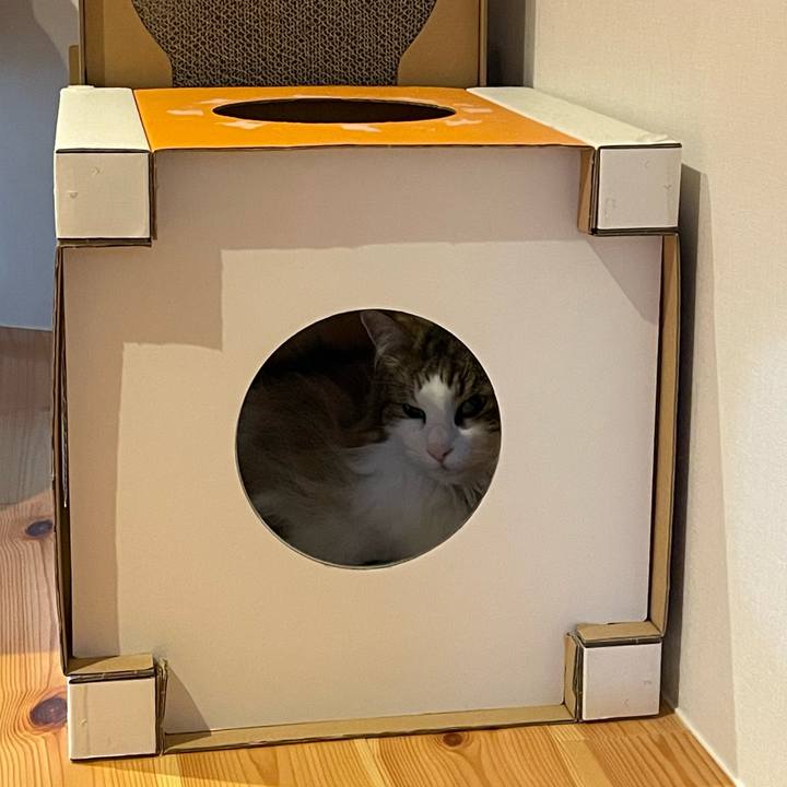 Dbdaac6f 30bd 4d73 b799 430c10a05ee5 1685693880955