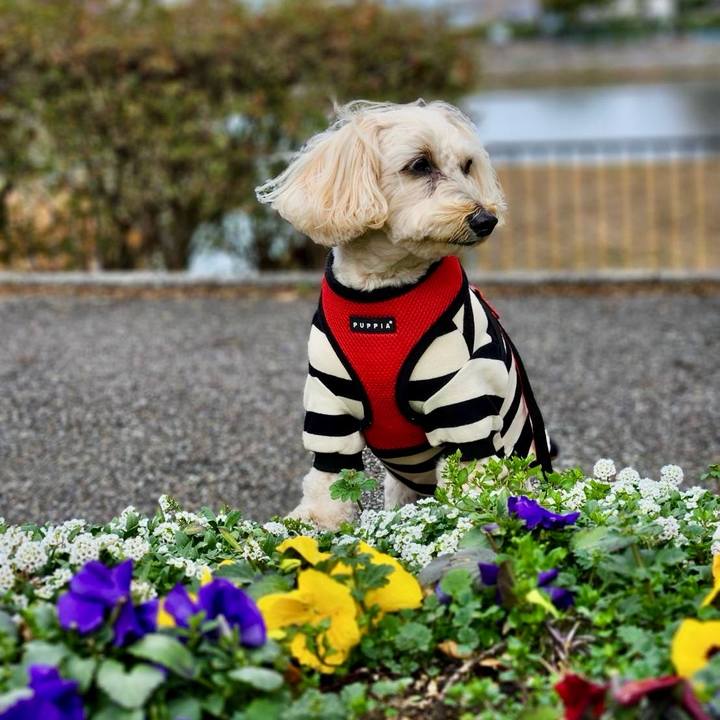 Dbdab28a 2b4e 4dab a8bc d5a7884a6554 1772185907025