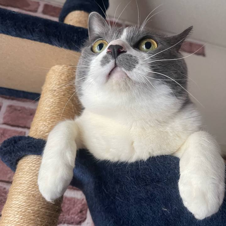 Dbdabb75 229e 41ce bdd2 38ccd7afc2d3 1745616402622