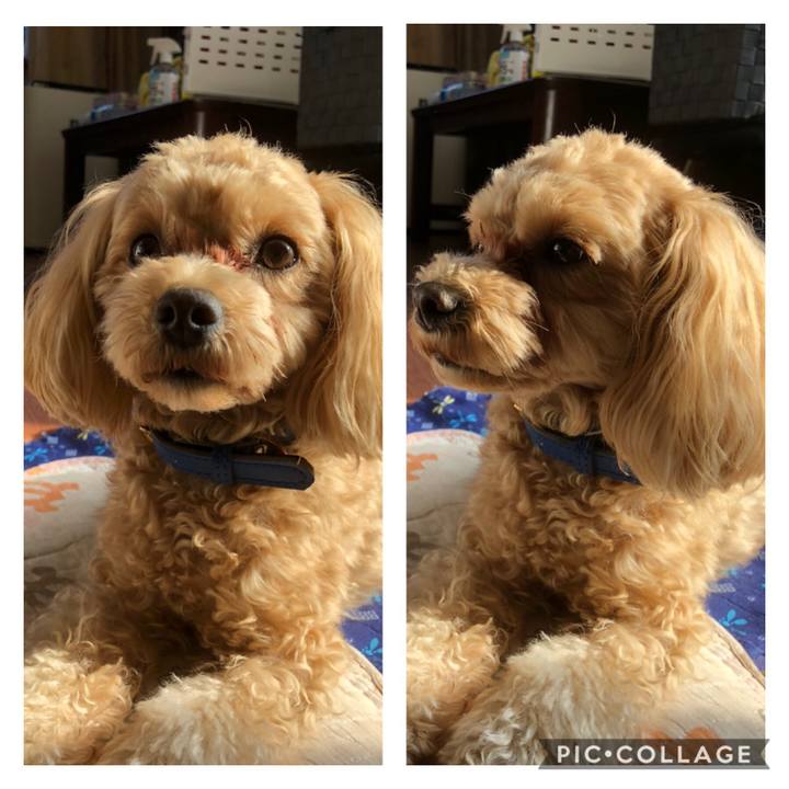 Dbdb077d e09a 4de5 b055 815266c0bd77 1610615383207