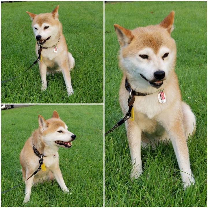 Dbdb1dd8 31c8 43d3 8c1f d5dd6d88d922 1596359029970