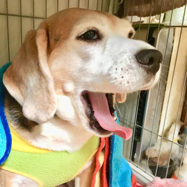 Dbdb6322 fa3a 459d 84cf 1e4aeaa834ef 1544657802255