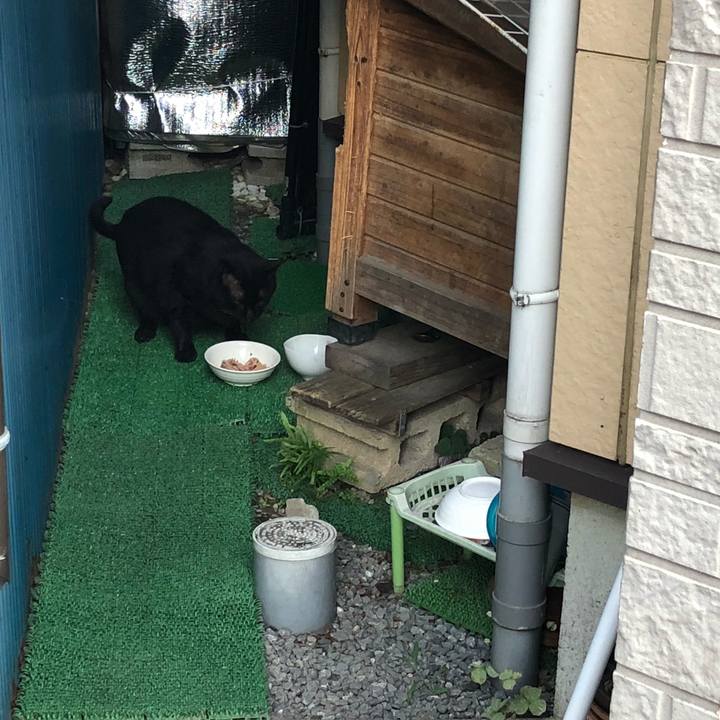 Dbdb98cb 168f 4489 999e 91b3ff916999 1532086290671