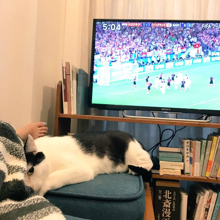 Dbdba6c5 54bd 493e 9c77 8e3a1ba75ccd 1531340180178