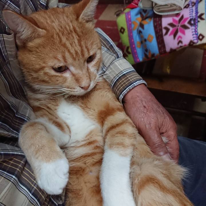 Dbdbb25d fb17 4429 b172 bba5296cb354 1569203140451