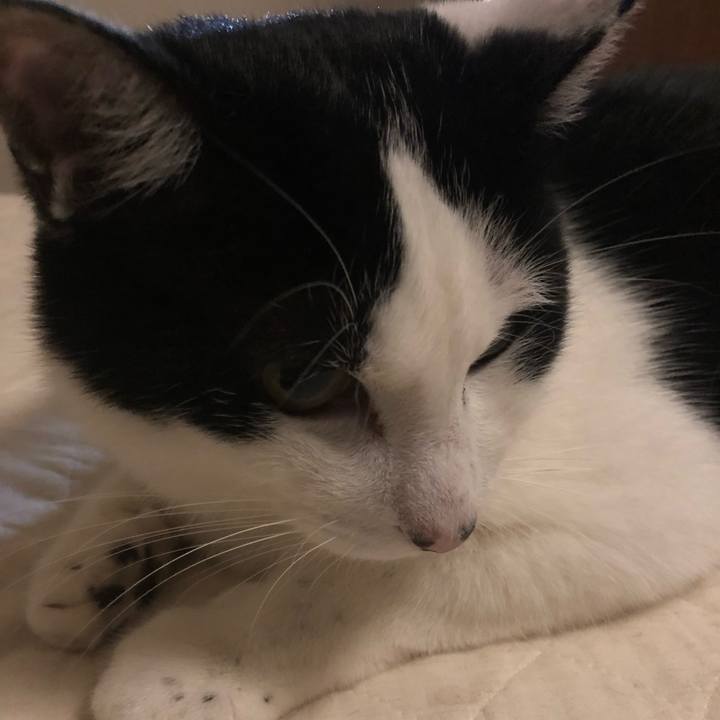 Dbdbcf8a 1243 4b96 b4f7 353a780a64be 1558532154180